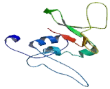 ADP Ribosylation Like Factor 6 Interacting Protein 1 (ARL6IP1)