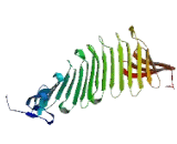 ADP Ribosylation Like Factor 6 Interacting Protein 4 (ARL6IP4)