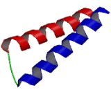 ADP Ribosylation Like Factor 6 Interacting Protein 5 (ARL6IP5)