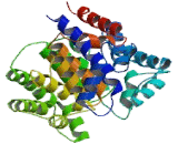 ADP Ribosylhydrolase Like Protein 2 (ADPRHL2)