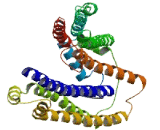 AKNA Domain Containing Protein 1 (AKNAD1)