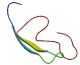 AKT Interacting Protein (AKTIP)