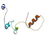 ALS2 C-Terminal Like Protein (ALS2CL)