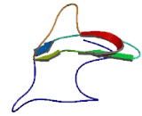 AMME Chromosomal Region Gene 1 (AMMECR1)