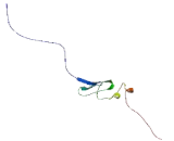 AN1, Ubiquitin Like Protein (ANUBL1)