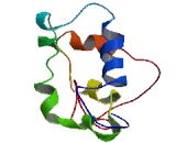 AT Hook Transcription Factor (AKNA)