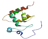 AT-Rich Interactive Domain Containing Protein 3C (ARID3C)