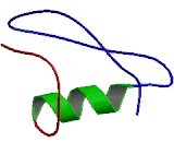 ATP Binding Cassette Transporter D2 (ABCD2)