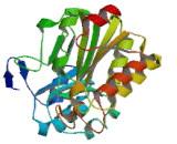 ATP Citrate Lyase (ACLY)