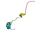 ATP Synthase 8 (ATP8)