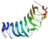 ATP Synthase Subunit S Like Protein (ATP5SL)