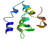 ATP1A1 Opposite Strand Protein (ATP1A1OS)