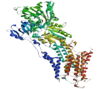 ATPase, Ca++ Transporting, Cardiac Muscle, Fast Twitch 1 (ATP2A1)