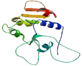 ATPase, Ca++ Transporting, Plasma Membrane 1 (ATP2B1)