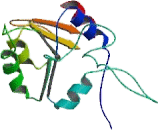 ATPase, Ca++ Transporting, Plasma Membrane 4 (ATP2B4)