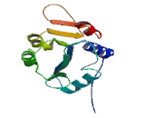 ATPase, Ca++ Transporting, Type 2C, Member 1 (ATP2C1)