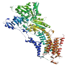 ATPase, Ca++ Transporting, Ubiquitous (ATP2A3)