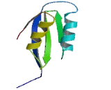 ATPase, Cu++ Transporting Alpha Polypeptide (ATP7a)