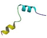 ATPase, H+/K+ Exchanging Alpha Polypeptide (ATP4a)