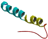 ATPase, H+/K+ Exchanging Beta Polypeptide (ATP4b)