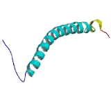 ATPase, H+ Transporting, Lysosomal 13kDa, V1 Subunit G3 (ATP6V1G3)