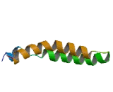 ATPase, H+ Transporting, Lysosomal 16kDa, V0 Subunit C (ATP6V0C)