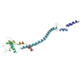 ATPase, H+ Transporting, Lysosomal 31kDa, V1 Subunit E1 (ATP6V1E1)