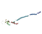 ATPase, H+ Transporting, Lysosomal 31kDa, V1 Subunit E2 (ATP6V1E2)