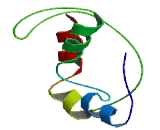 ATPase, H+ Transporting, Lysosomal 38kDa, V0 Subunit D2 (ATP6V0D2)