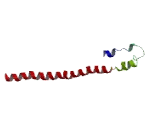 ATPase, H+ Transporting, Lysosomal 38kDa, V1 Subunit D (ATP6V1D)