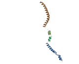 ATPase, H+ Transporting, Lysosomal 50/57kDa, V1 Subunit H (ATP6V1H)