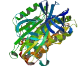 ATPase, H+ Transporting, Lysosomal 56/58kDa, V1 Subunit B1 (ATP6V1B1)