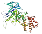 ATPase, H+ Transporting, Lysosomal 70kDa, V1 Subunit A (ATP6V1A)