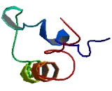 ATPase, H+ Transporting, Lysosomal 9kDa, V0 Subunit E1 (ATP6V0E1)