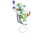 ATPase, H+ Transporting, Lysosomal Accessory Protein 1 (ATP6AP1)