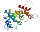 ATPase, H+ Transporting, Lysosomal Accessory Protein 2 (ATP6AP2)