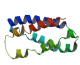 ATPase, H+ Transporting, Lysosomal V0 Subunit A1 (ATP6V0A1)