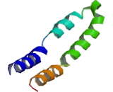 ATPase, H+ Transporting, Mitochondrial F0 Complex, Subunit C1 (ATP5g1)