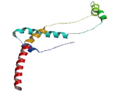 ATPase, H+ Transporting, Mitochondrial F0 Complex, Subunit D (ATP5H)