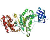 ATPase, H+ Transporting, Mitochondrial F1 Complex Alpha Polypeptide (ATP5a)