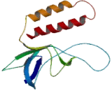 ATPase, H+ Transporting, Mitochondrial F1 Complex Delta Polypeptide (ATP5d)