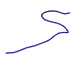 ATPase, Na+/K+ Transporting Alpha 4 Polypeptide (ATP1a4)