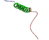 ATPase, Na+/K+ Transporting Beta 1 Polypeptide (ATP1b1)