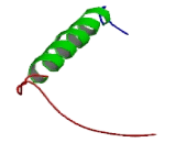 ATPase, Na+/K+ Transporting Beta 2 Polypeptide (ATP1b2)