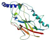 ATPase, Na+/K+ Transporting Beta 4 Polypeptide (ATP1b4)