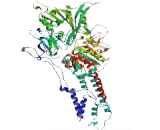 ATPase Class I Type 8B1 (ATP8B1)