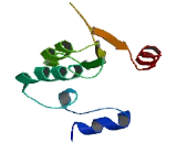 ATPase Class I Type 8B3 (ATP8B3)