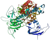 ATPase Class II Type 9A (ATP9A)