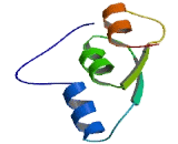 ATPase Class II Type 9B (ATP9B)