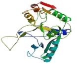 ATPase Class VI Type 11A (ATP11A)